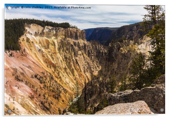 Yellowstone National Park - Lower Falls Acrylic by colin chalkley