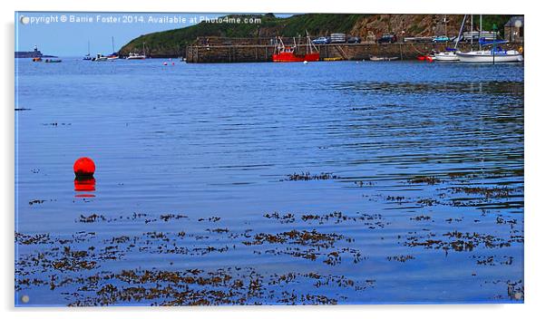  Fishguard Harbour Acrylic by Barrie Foster