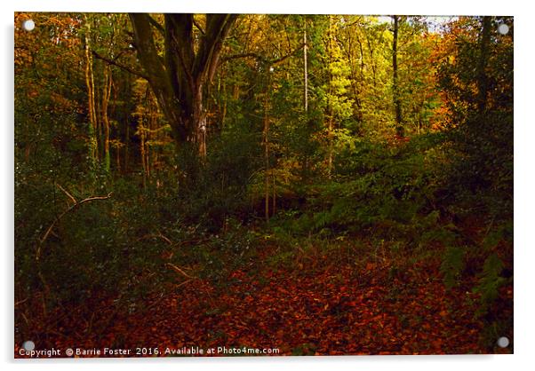 Little Milford Woods #3 Acrylic by Barrie Foster