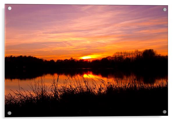  Sunset at Emberton Lake Acrylic by Tony Dimech