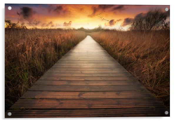 Cosmeston lake boardwalk Acrylic by Leighton Collins
