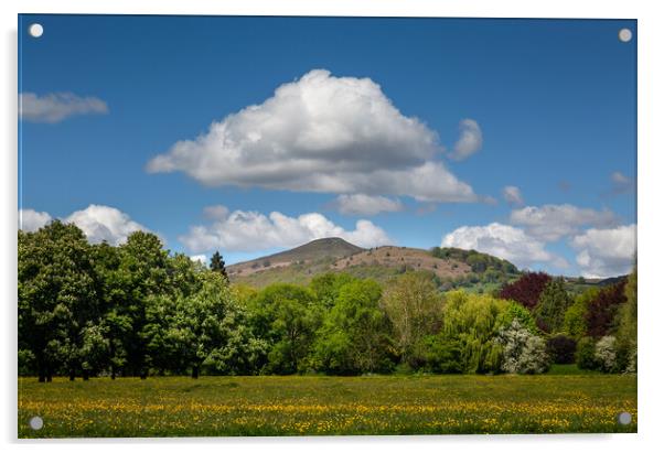 Skirrid mountain and Castle Meadows park Acrylic by Leighton Collins