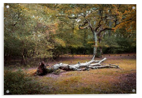 A fallen tree in the New Forest Acrylic by Leighton Collins