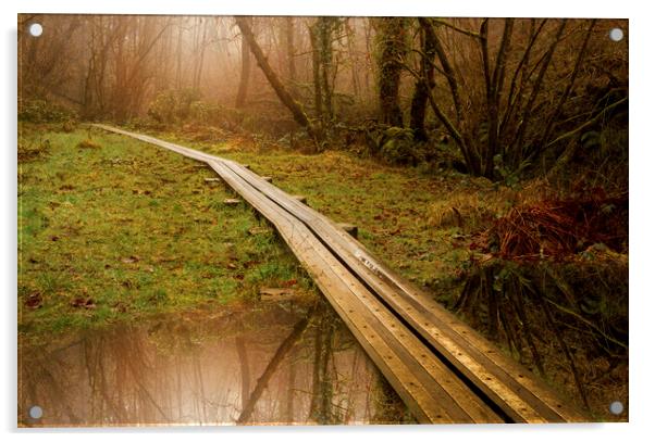 Walking the plank Acrylic by Leighton Collins