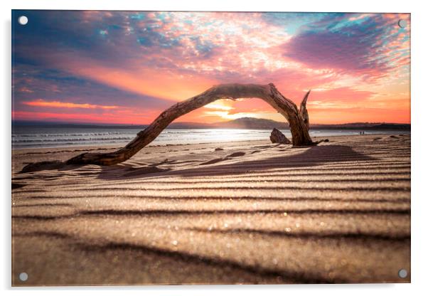 Driftwood on Aberavon Beach Acrylic by Leighton Collins