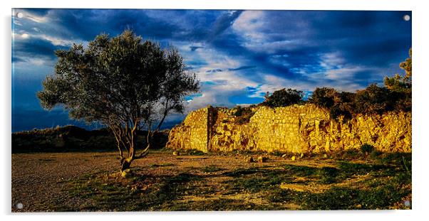 LEscala ruins, Spain Acrylic by Leighton Collins