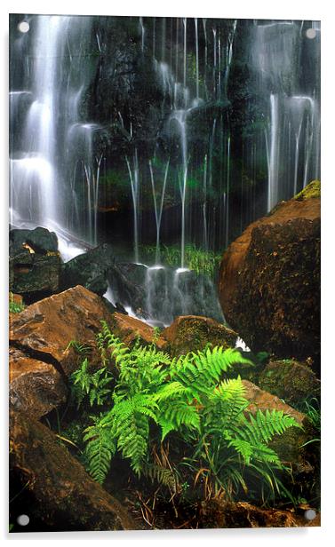 Waterfall and ferns Acrylic by Leighton Collins