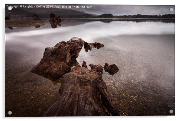 Comox Lake Canada Acrylic by Leighton Collins