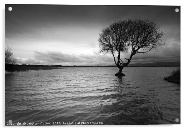 Kenfig Pool Acrylic by Leighton Collins