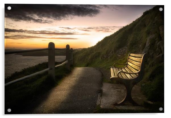 Wales Coastal Path bench Acrylic by Leighton Collins