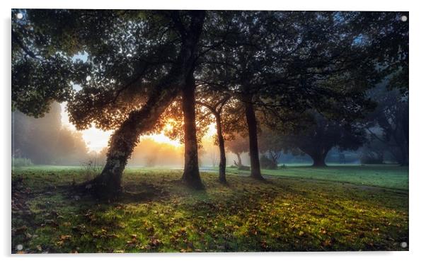 Sunrise at Ravenhill Park Acrylic by Leighton Collins