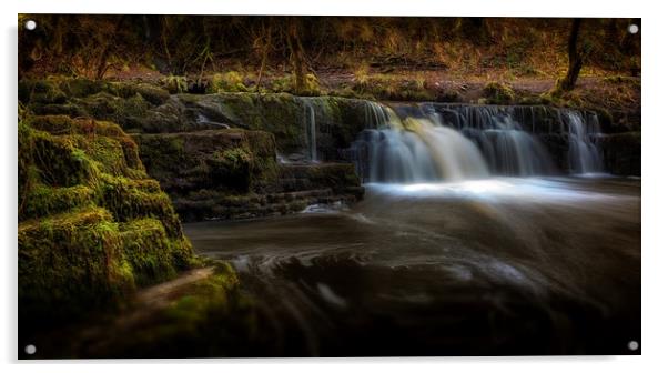 Afon Pyrddin waterfall Pontneddfechan Acrylic by Leighton Collins