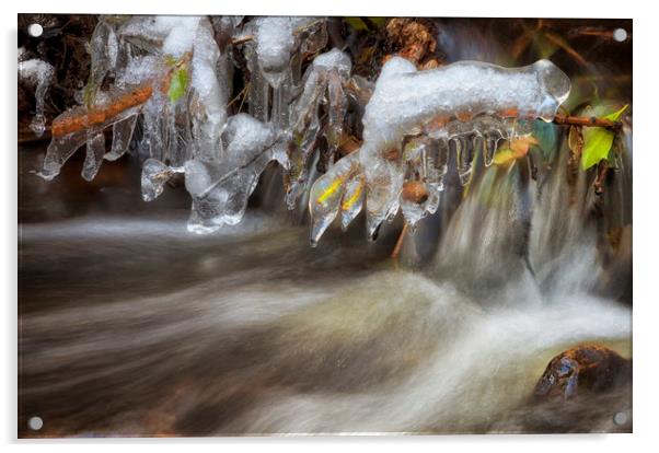 Icicles in a stream Acrylic by Leighton Collins