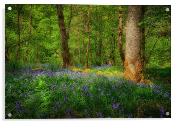Mystical woodland Acrylic by Leighton Collins
