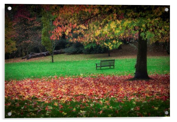 An Autumn bench at Clyne Gardens Acrylic by Leighton Collins