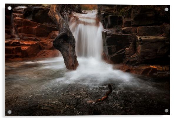 Melincourt Brook cascade Acrylic by Leighton Collins