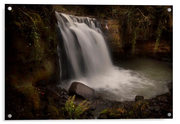 Mervyn's memories Waterfall Acrylic by Leighton Collins