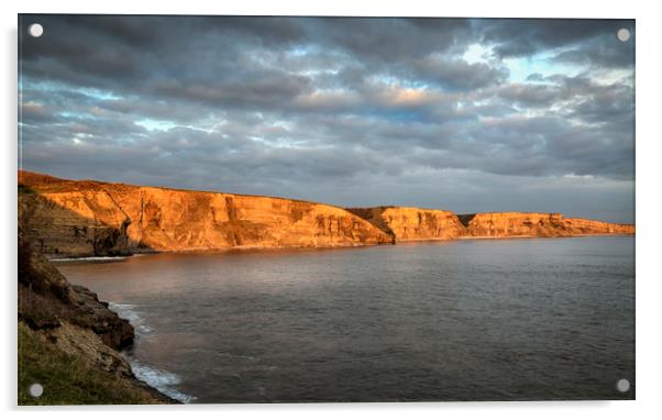 South Wales Heritage Coast Acrylic by Leighton Collins