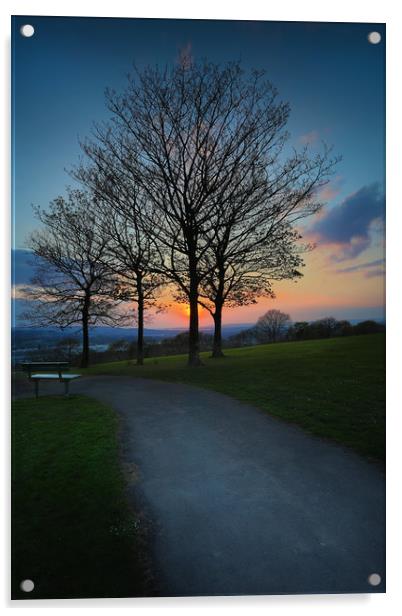 Sunset at Ravenhill park Acrylic by Leighton Collins