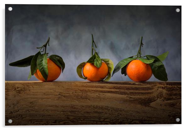 Three satsumas with leaves Acrylic by Leighton Collins