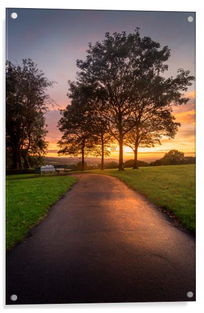A path at dusk in Ravenhill park Acrylic by Leighton Collins