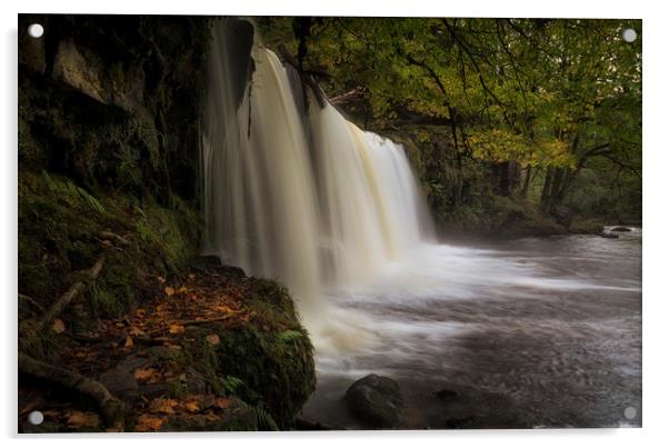 Autumn at Sgwd Ddwli Isaf waterfall Acrylic by Leighton Collins