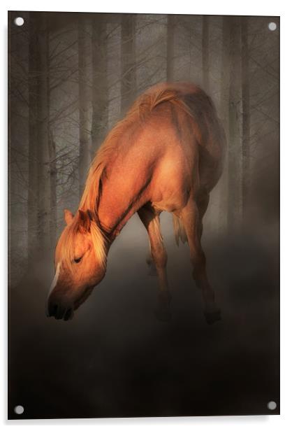 Horse in the mist Acrylic by Leighton Collins