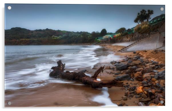 Driftwood at Langland Bay Acrylic by Leighton Collins