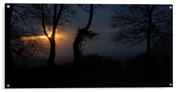 Evening sunburst through the trees Acrylic by Leighton Collins