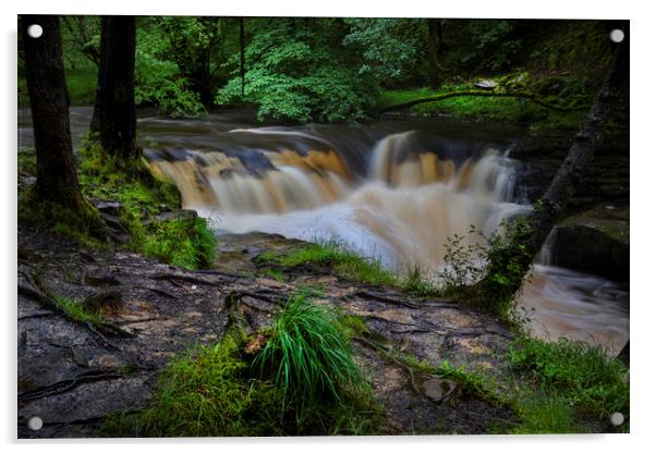 The river Neath, near Pontneddfechan Acrylic by Leighton Collins