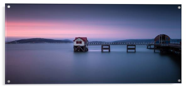 Mumbles pier and lifeboat station in Swansea Acrylic by Leighton Collins