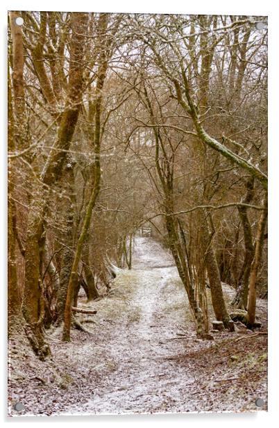 A country lane in Winter Acrylic by Leighton Collins