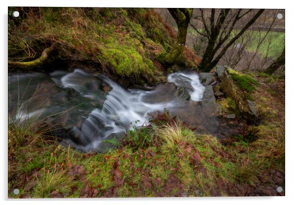 A mountain watercourse Acrylic by Leighton Collins