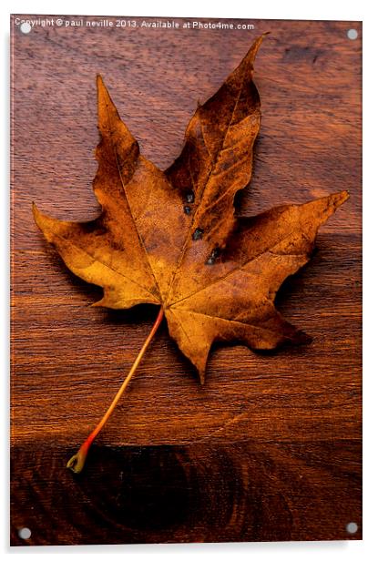 autumn leaf on wood Acrylic by paul neville