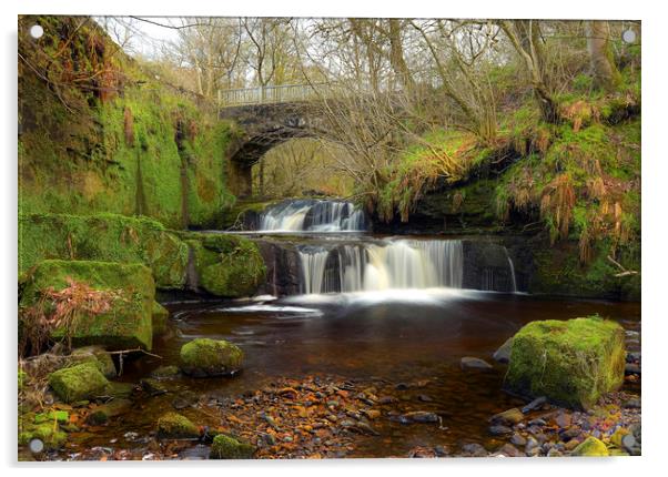 Garell Glen. Acrylic by jim wilson