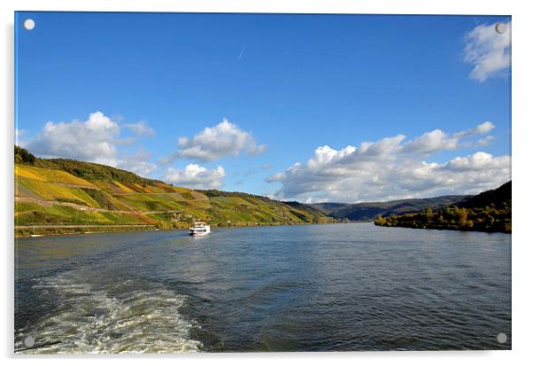 Cruising the Mid-River Rhine Acrylic by Frank Irwin