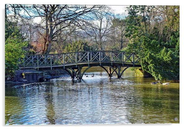 One of the many bridges to be seen in Birkenhead P Acrylic by Frank Irwin