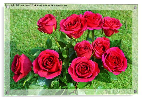  Beautiful red hybrid tea roses Acrylic by Frank Irwin