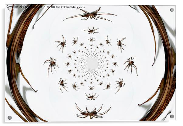   Arachnophobia a go-go Acrylic by Frank Irwin