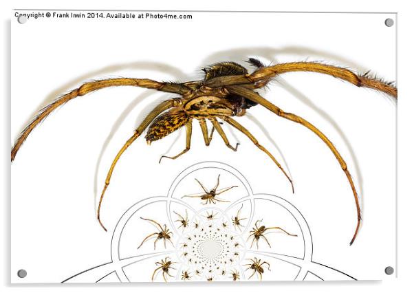 Arachnophobia a go-go Acrylic by Frank Irwin