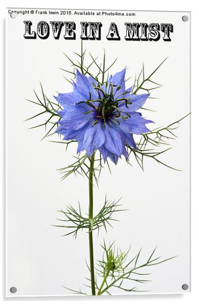 Love in a  mist, "Miss Jekyll" Acrylic by Frank Irwin