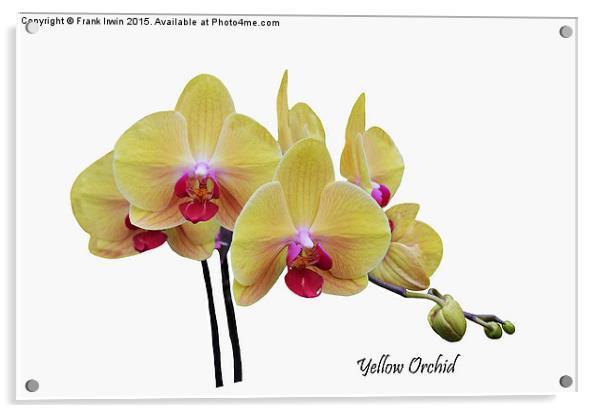  Beautiful yellow orchid Acrylic by Frank Irwin