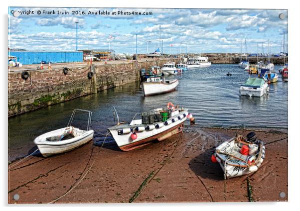 Serene, sunny Paignton harbour Acrylic by Frank Irwin