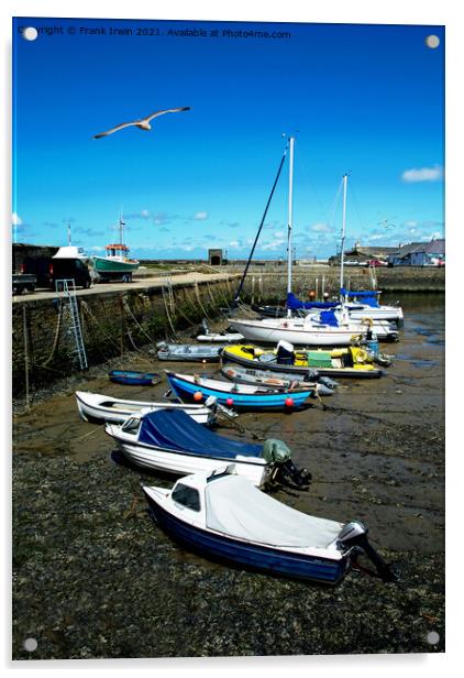 The beautiful harbour of Aberaeron Acrylic by Frank Irwin