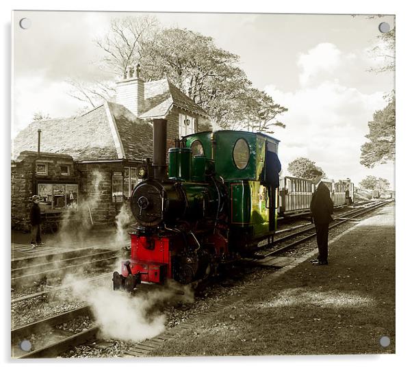 Lynton & Barnstaple Railway Acrylic by Andrew  Pettey