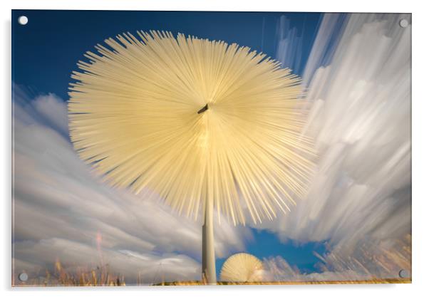 Sun Flower Acrylic by Gareth Burge Photography