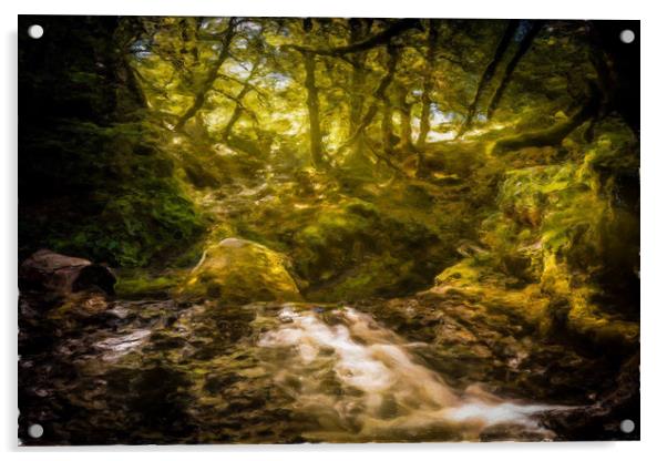 Painted Sunlit Woodland Glade Acrylic by Gareth Burge Photography