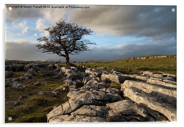  Lone Tree at Winskill Stones Acrylic by Martin Parratt