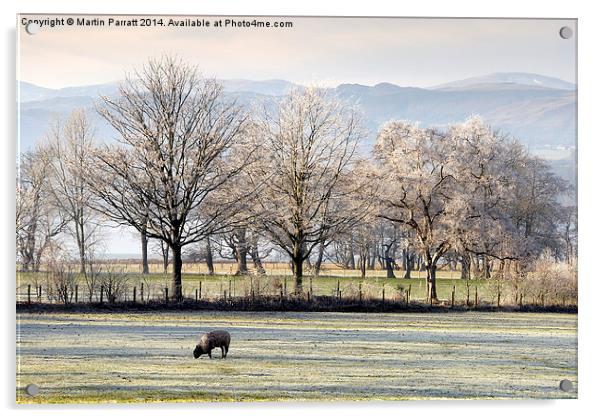  Frosty Morning Acrylic by Martin Parratt