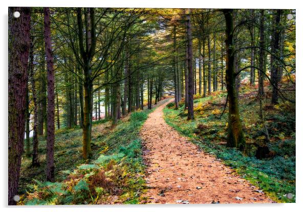  Woodland Path Acrylic by Martin Parratt